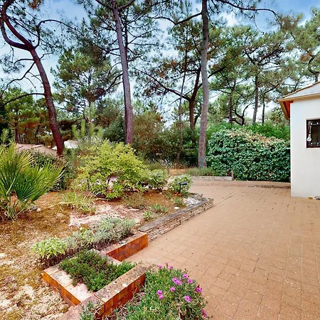 Awesome In Sur 別荘